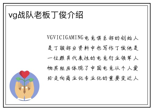 vg战队老板丁俊介绍